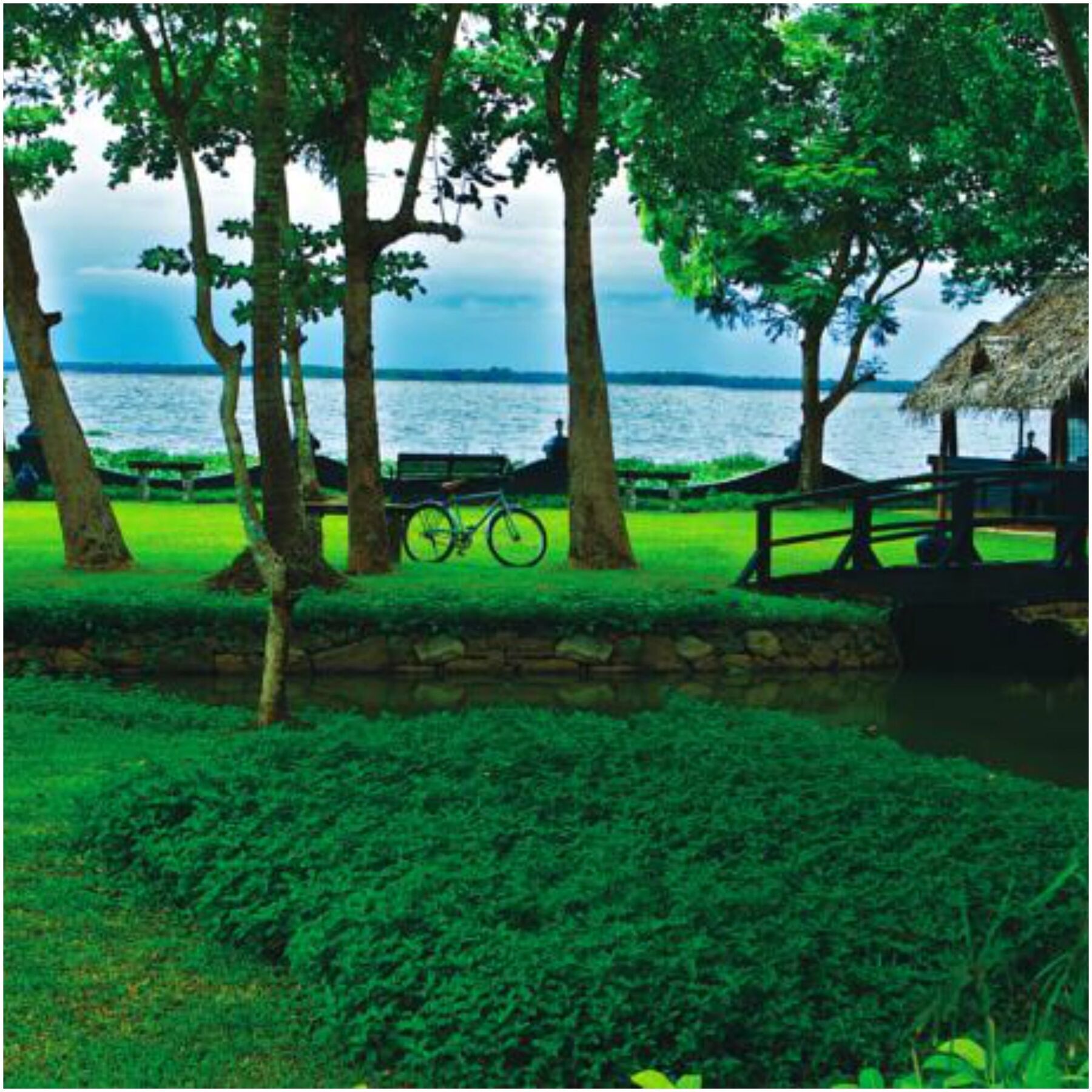 Taj Kumarakom Resort And Spa Kerala Exterior foto